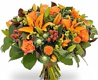 פריחה בכתום פריחה בכתום